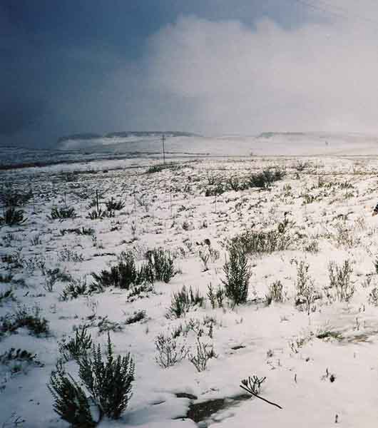 snow